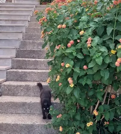 Kunjasic Appartement